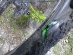 28042008072.jpg