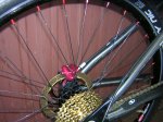 DSCN4565.JPG
