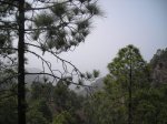 DSCN8655.JPG