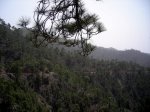DSCN8657.JPG