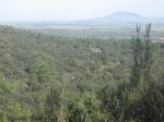 098%20270408%20III%20Ruta%20MTB%20Vereda%20del%20Fraile-Sonceca.jpg