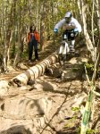 grao2008 003.jpg