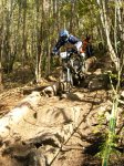 grao2008 004.jpg
