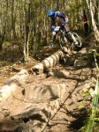 grao2008 005.jpg