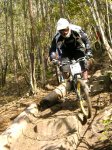 grao2008 006.jpg