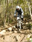 grao2008 008.jpg