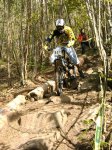 grao2008 010.jpg