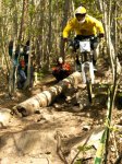 grao2008 019.jpg