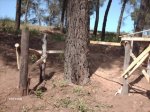 PASARELA+SALIDA+2.jpg