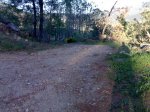28042008410.jpg
