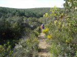 DSC04968_resize.JPG
