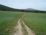 DSC04981_resize.JPG