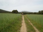 DSC04983_resize.JPG
