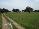 DSC04992_resize.JPG