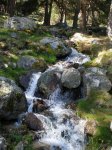 Morcuera (26-04-08) 012.jpg
