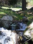 Morcuera (26-04-08) 015.jpg