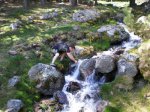 Morcuera (26-04-08) 016.jpg