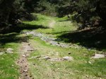 Morcuera (26-04-08) 027.jpg