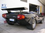 lambo20.jpg
