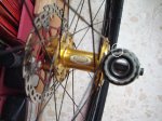DSC00700.JPG