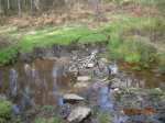 DSCN3169.JPG