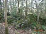 DSCN3170.JPG