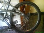 DSC00116.jpg