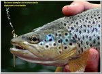 pesca07.jpg