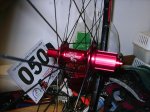 lanza 022.jpg