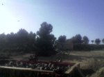 Imagen011.jpg