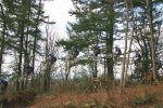 Salto.jpg
