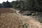 Imagen 034.jpg