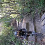 DSCN2197.jpg