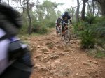 sierro 013.jpg