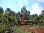 sierro 022.jpg