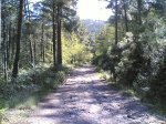 dia 1 de mayo 2008 054.jpg