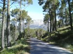 dia 1 de mayo 2008 070.jpg