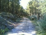 dia 1 de mayo 2008 026.jpg
