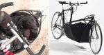 frances-bicycle-frames.jpg