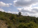 Imagen028.jpg