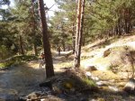 DSC01913.JPG