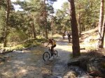 DSC01914.JPG