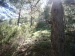 Foto42.JPG