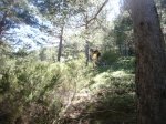 Foto43.JPG