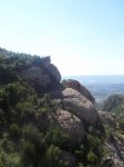 2008 05 036.jpg