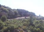 2008 05 037.jpg