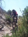 2008 05 057.jpg