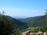 DSCN3885.jpg