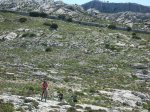 DSCN3908.jpg
