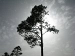 8B.jpg